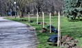 Засадиха десет фиданки в Парка на възрожденците