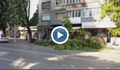 Опасни клони дебнат на улица "Борисова"