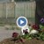 Цветя украсиха разбити улици в Русе Цветя украсиха разбити улици в Русе