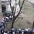 Опашки се извиха пред църквите в Русе