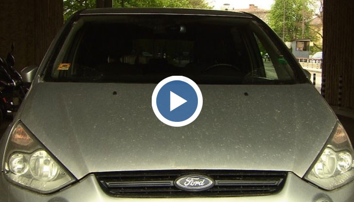 Автомобилите изглеждат сякаш са били на сафари