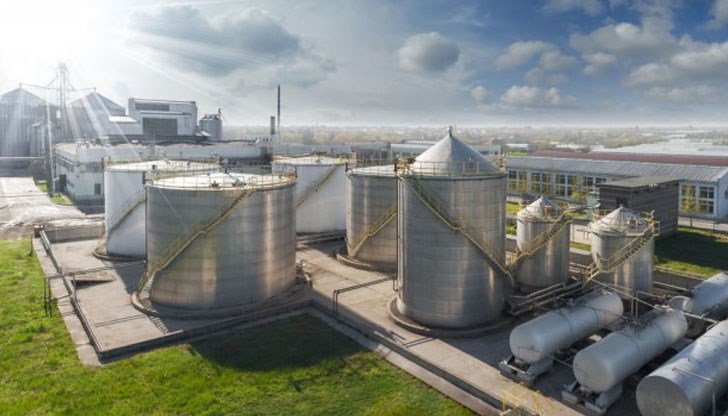В малката община има завод за биодизел, дървопреработващи предприятия и два големи свинекомплекса, както и фирми от областта на хранително-вкусовата промишленост