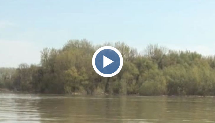 Вече има случаи на конфискувани лодки, мрежи и улов