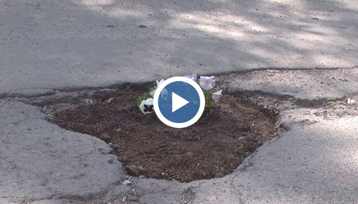Акция по засаждане на цветя в уличните дупки