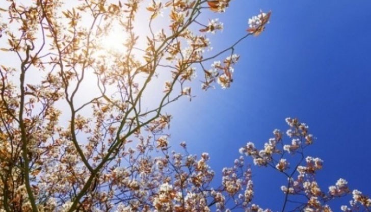 Максималните температури ще достигнат 25 градуса