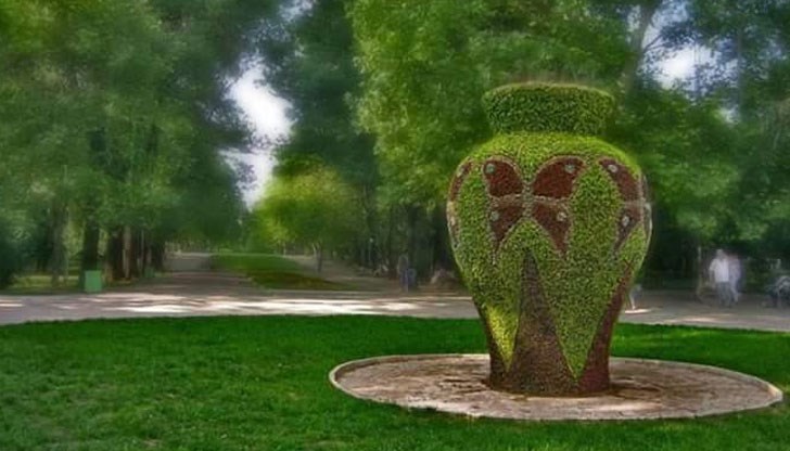 30 хиляди стръка от няколко вида цветя в зелено, сребристо и червено ще грейнат на вазата в Парка на младежта 30 хиляди стръка от няколко вида цветя в зелено, сребристо и червено ще грейнат на вазата в Парка на младежта