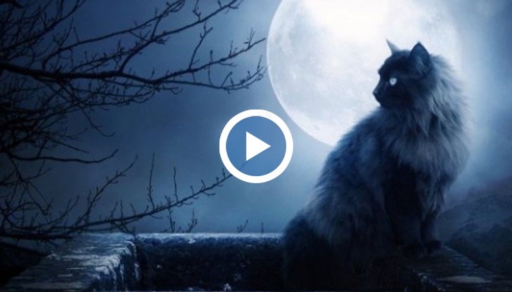 Днес е "фаталният" петък 13-ти!