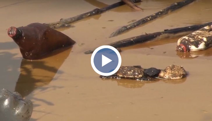 РИОСВ: Ще се предприемат действия, но ако се установи кой е източникът