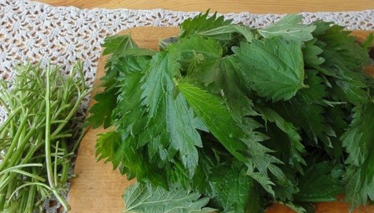 Използват се само горната част на копривата и трите листа под нея