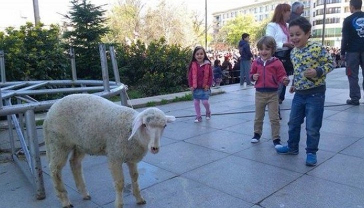 Над 100 награди ще бъдат раздадени на традиционното „Великденско хоро“