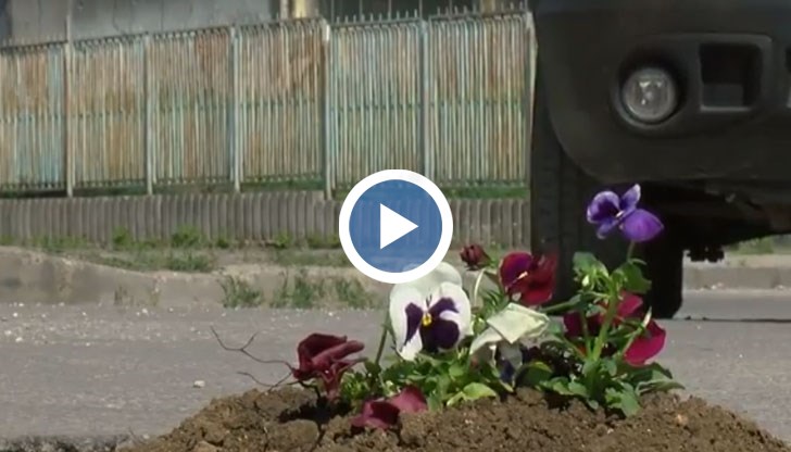 Младежи се обединиха около идеята да посадят цветя или дръвчета в множеството дупки по русенските улици