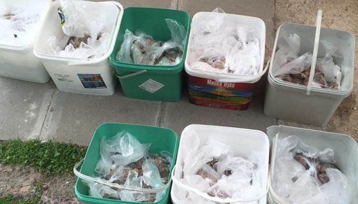 Жоро Саламчето ѝ изплати обезщетение с жълти стотинки