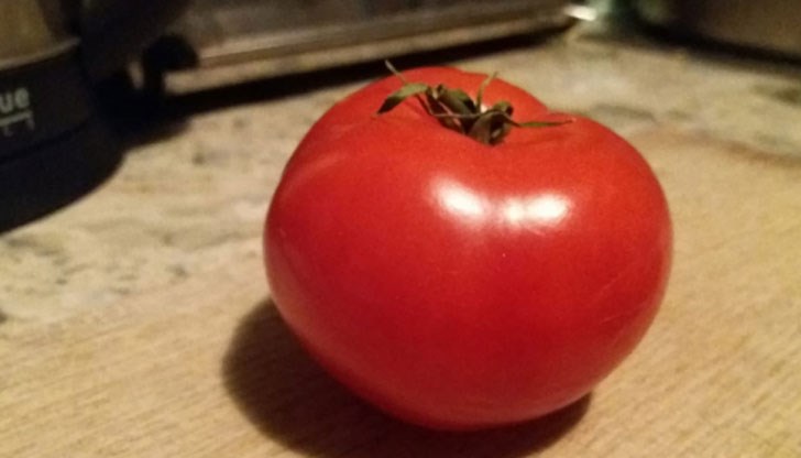 Домат престоя 4 месеца без да се развали