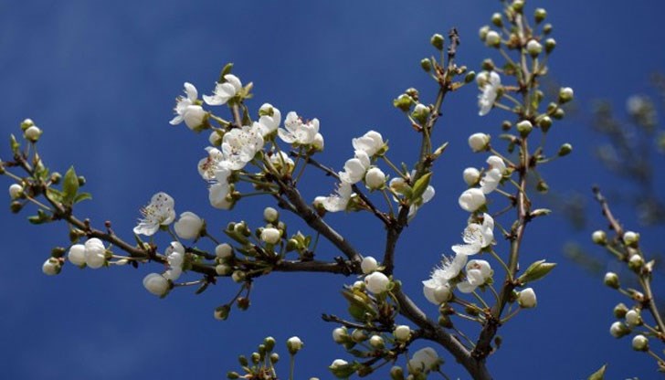 Преди обяд ще е предимно слънчево Преди обяд ще е предимно слънчево