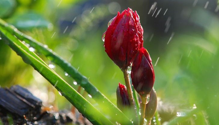 Валежите ще са придружени с гръмотевици и усилване на вятъра Валежите ще са придружени с гръмотевици и усилване на вятъра