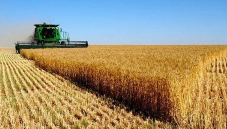 Абсурдна концепция: Прихода по застраховките "Автокаско“ да отива за изплащане на щети от бедствия по продукцията на земеделски производители