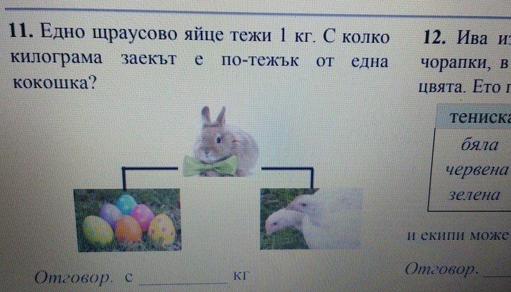 Едно щраусово яйце тежи 1 кг. С колко килограма заекът е по-тежък от една кокошка? Едно щраусово яйце тежи 1 кг. С колко килограма заекът е по-тежък от една кокошка?