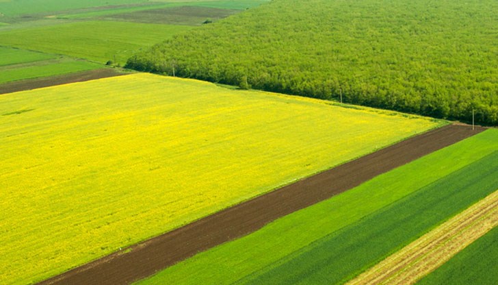 Къде са най-високите цени на продажба Къде са най-високите цени на продажба