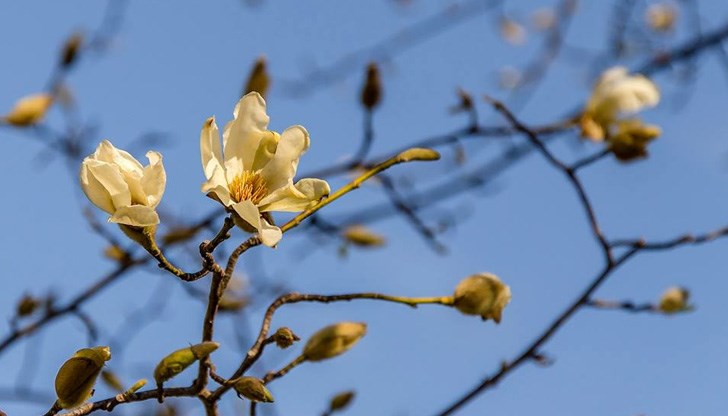 Крайно време беше русенци да усетят пролетта