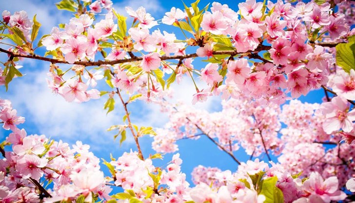 На места в Дунавската равнина сутринта ще има мъгла На места в Дунавската равнина сутринта ще има мъгла