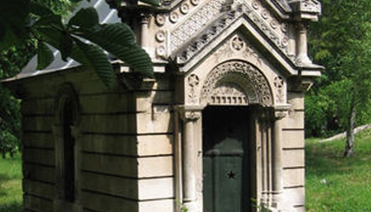 10 фиданки - чинари ще бъдат засадени днес 10 фиданки - чинари ще бъдат засадени днес