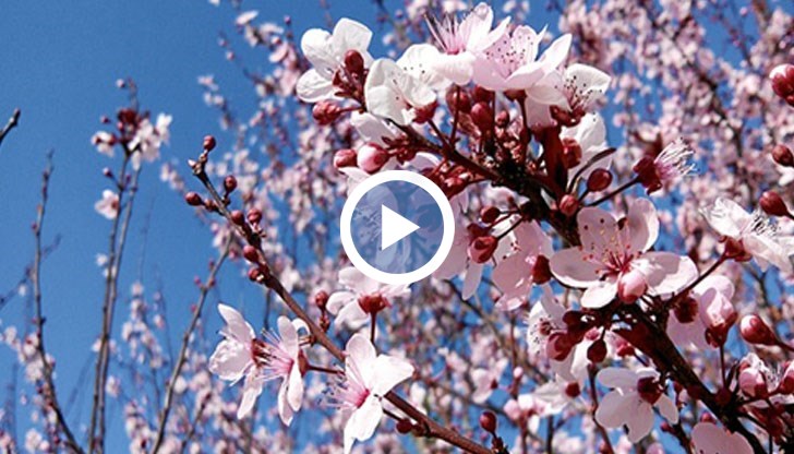 В началото на следващата седмица ще бъде предимно слънчево