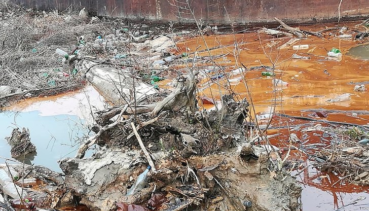 Експертите установиха, че има отпадъчна органична субстанция