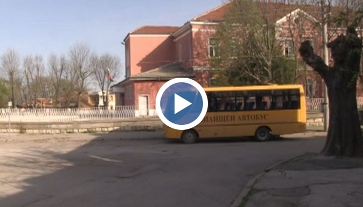 Още не е ясно кой е стопанинът на кучето, изплашило учениците в ОУ "Ангел Кънчев"