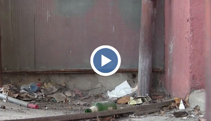 Апартамент на Министерството на околната среда и водите в Русе тъне в мизерия