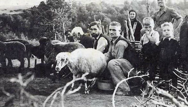 Хранете се с качествени български продукти, призовава най-голямата браншова организация в сектор „Животновъдство“