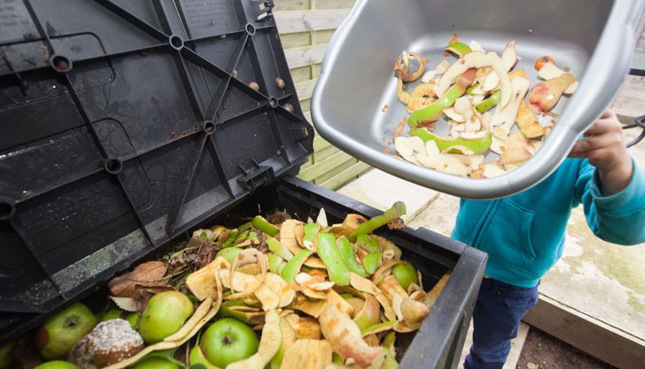 Най-много се изхвърлят плодове и зеленчуци Най-много се изхвърлят плодове и зеленчуци