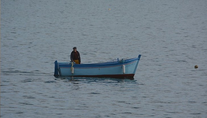 Рибари вадят по 15 каси с ценната риба на едно спускане във вода