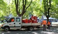 Запълват пукнатини по русенските улици с нова машина