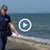Мъртви овце изплуваха на плажа в Бургас