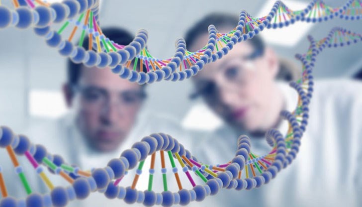 Тези 3 гена са характерни само за хората