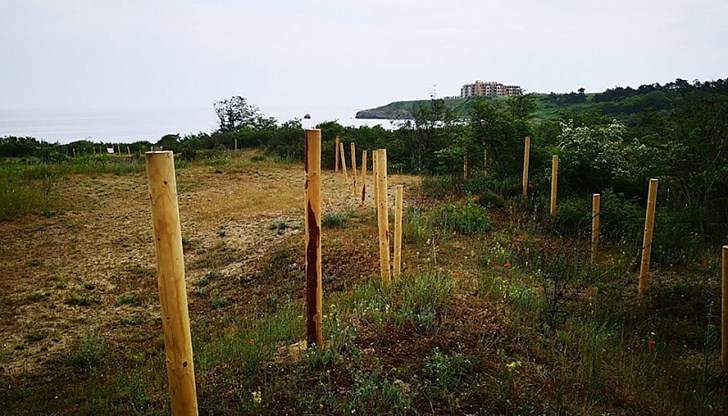 КАКЪВ АБСУРД! Да защитаваш държавната земя от самата държава?! КАКЪВ АБСУРД! Да защитаваш държавната земя от самата държава?!
