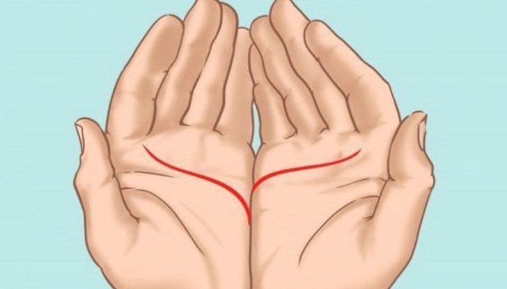 Ако той има две еднакви линии на сърцето, имате сериозен човек до себе си