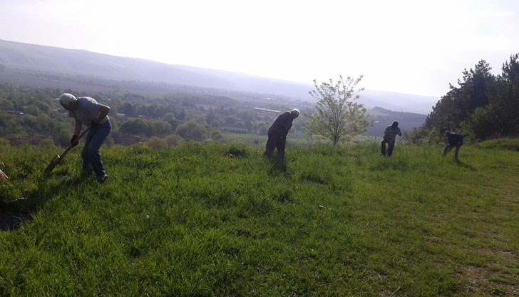 В кампанията по залесяването се включиха служители на общинската администрация и кметствата, членове на пенсионерските клубове и работници от временната заетост
