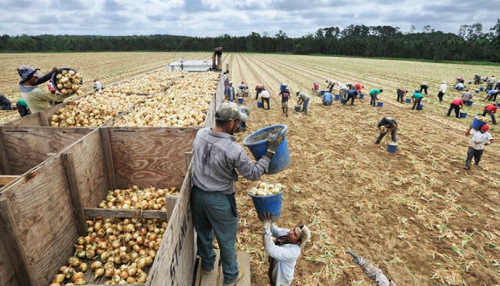 Изтичащата работна сила от България към страните от т. нар. Стара Европа е повече от 1 200 000 души Изтичащата работна сила от България към страните от т. нар. Стара Европа е повече от 1 200 000 души