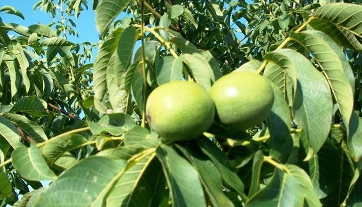 Поверието гласи, че така може да видим мъртвите си близки