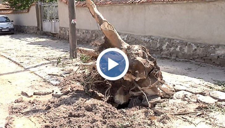 Градушка и порой изкорениха дървета и стълбове