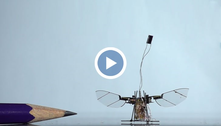 Малкият робот с крила няма нужда от батерия