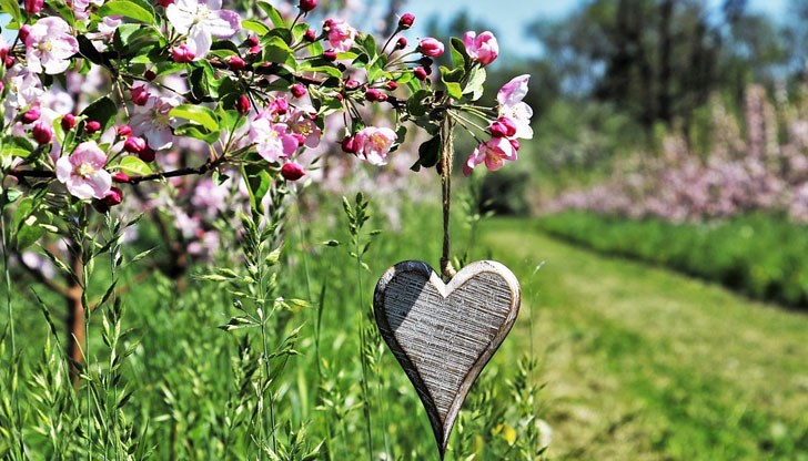 Астрологична дневна прогноза за 12 май