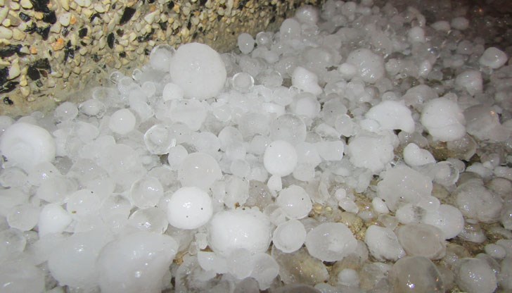 Ледени топчета с размери на орех нанесоха поражения на лозя, овошки и зеленчукови градини Ледени топчета с размери на орех нанесоха поражения на лозя, овошки и зеленчукови градини