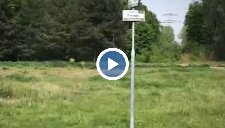 Пълен абсурд в столичния квартал "Требич"