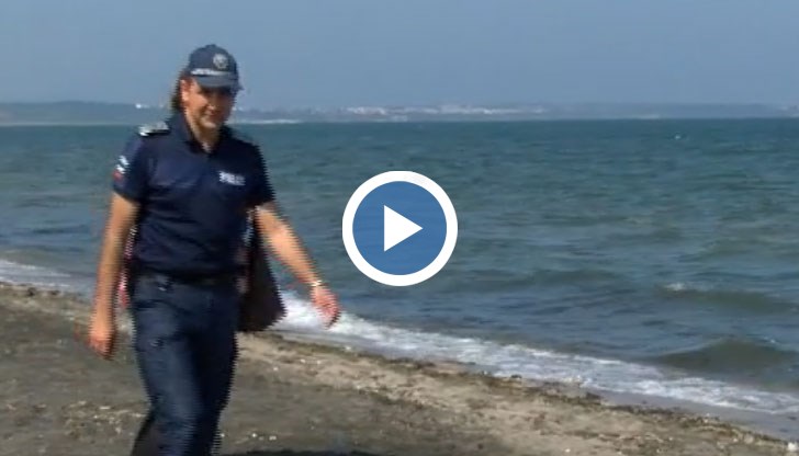 Според специалисти животните са стояли във водата около 10-15 дни