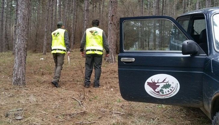 Ще те пребия, когато те срещна сам в гората, ще видиш какво ще ти се случи, знам къде живееш