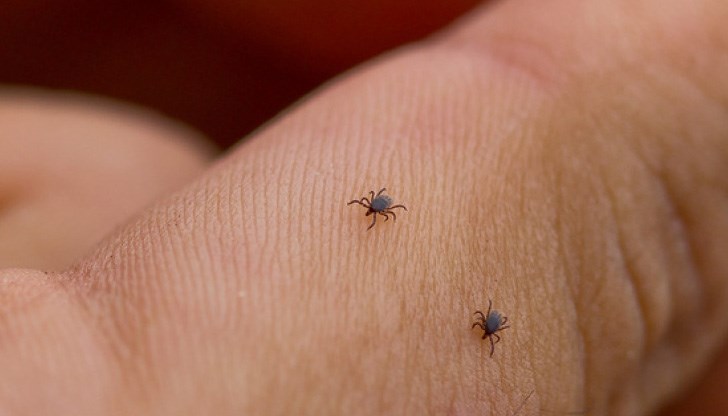 65-годишната жертва се разболяла от марсилска треска