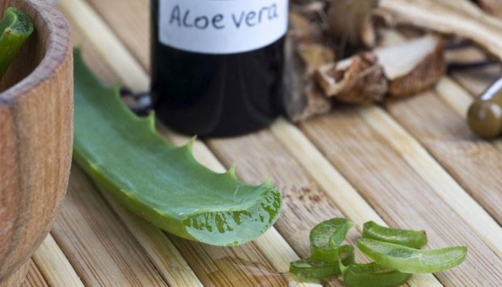 Какви са ползите от лечебното растение