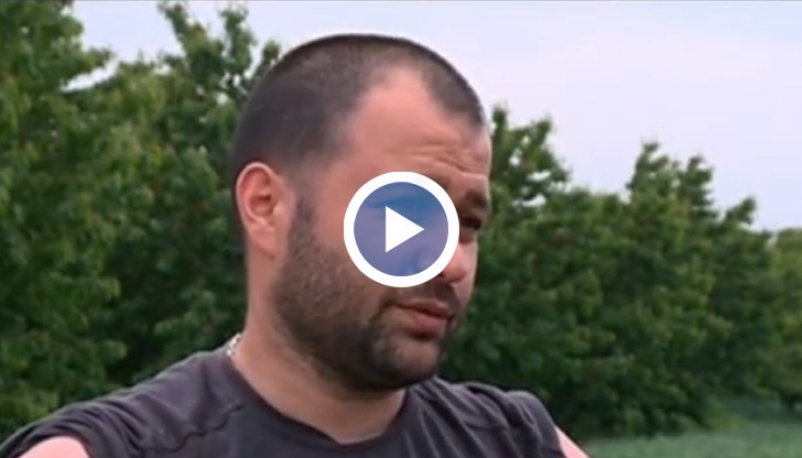 Започна беритбата на ранните сортове